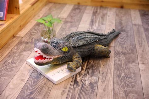 real stuffed alligator for sale